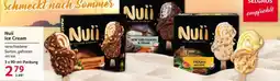 Selgros Nuüi Ice Cream Angebot