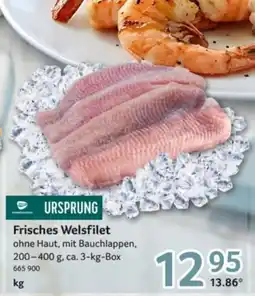 Selgros Frisches Welsfilet Angebot