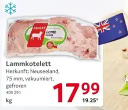 Selgros ASHLEY Lamb Lamm Angebot