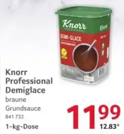 Selgros Knorr Professional Demiglace braune Grundsauc Angebot