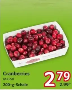 Selgros Cranberries Angebot