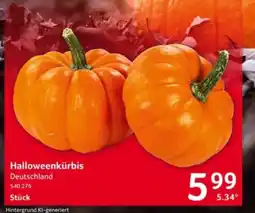 Selgros Halloweekkürbis Angebot