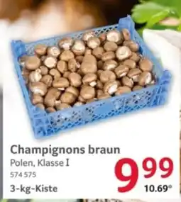 Selgros Champignons braun Angebot