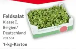 Selgros Feldsalat Angebot