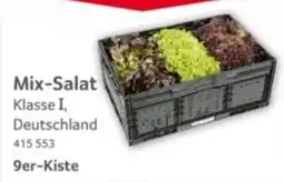 Selgros Mix-Salat Angebot