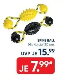 Galeria SPIKE BALL Angebot