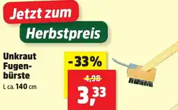 Thomas Philipps Unkraut Fugenbürste Angebot