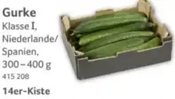 Selgros Gurke Angebot