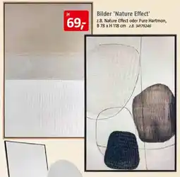 Bauhaus Bilder 'Nature Effect' Angebot