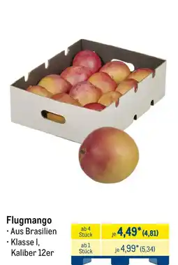 METRO Flugmango Angebot