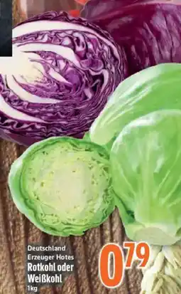 inkoop Rotkohl oder Weißkohl Angebot