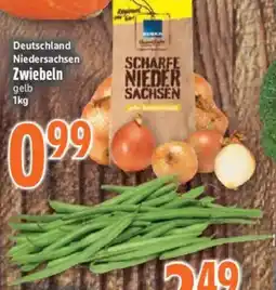 inkoop SCHARFE NIEDER SACHSEN Zwiebeln Angebot