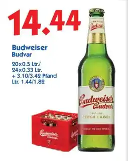 Hol'ab Getränkemarkt Budweiser Budvar Angebot