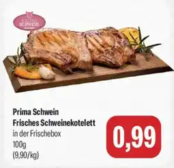 Feneberg Prima Schwein Frisches Schweinekotelett Angebot
