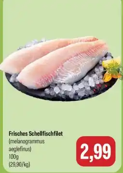 Feneberg Frisches Schellfischfilet Angebot