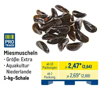PRO TRACE Miesmuscheln