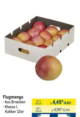 METRO Flugmango Angebot