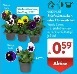 Aldi Süd GARDENLINE Stiefmütterchen Angebot
