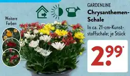 Aldi Süd GARDENLINE Chrysanthemen-Schale Angebot