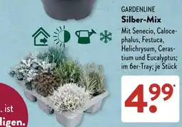 Aldi Süd GARDENLINE Silber-Mix Angebot