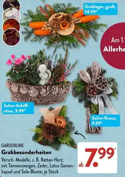 Aldi Süd GARDENLINE Grabbesonderheiten Angebot