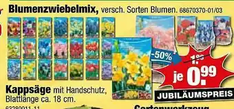 SB Lagerkauf Blumenzwiebelmix Oder Kappsäge Angebot