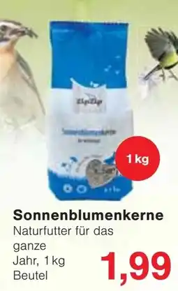 Jawoll ZipZip Sonnenblumenkerne Angebot