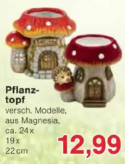 Jawoll Pflanztopf Angebot