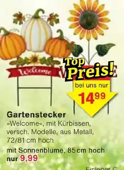 Jawoll Gartenstecker »Welcome«, mit Kürbissen Angebot