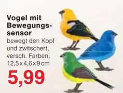 Jawoll Vogel mit Bewegungs-sensor Angebot