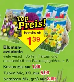 Jawoll Blumenzwiebeln Angebot