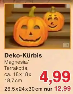 Jawoll Deko-Kürbis Angebot