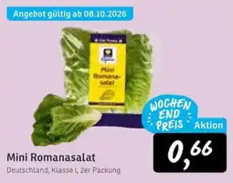 KONSUM Mini Romanasalat Angebot