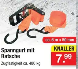Zimmermann Spanngurt mit Ratsche Angebot