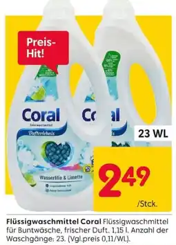 Rusta Flüssigwaschmittel Coral Angebot