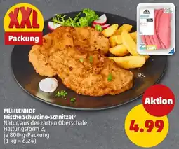 PENNY MÜHLENHOF Frische Schweine-Schnitzel* Angebot
