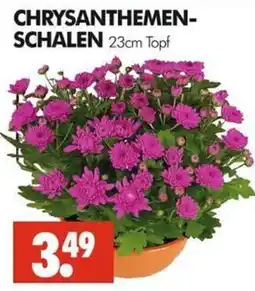 Wreesmann CHRYSANTHEMEN-SCHALEN Angebot