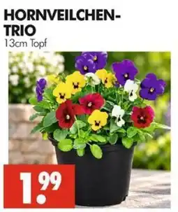 Wreesmann HORNVEILCHEN-TRIO Angebot