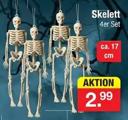 Zimmermann Skelett 4er Set Angebot