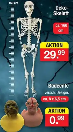 Zimmermann Deko-Skelett Angebot