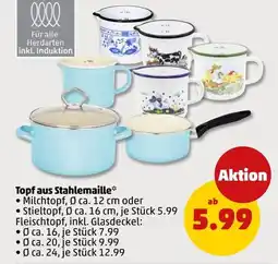 PENNY Topf aus Stahlemaile* Angebot