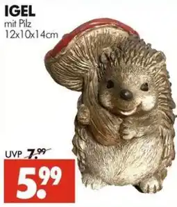 Wreesmann IGEL mit Pilz Angebot
