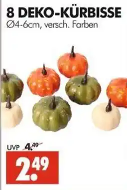 Wreesmann DEKO-KÜRBISSE Angebot