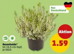 PENNY Besenheide* Angebot