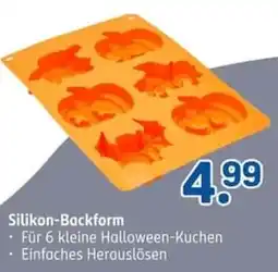 Rossmann Silikon-Backform Angebot
