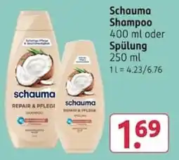 Rossmann Schauma Shampoo Angebot