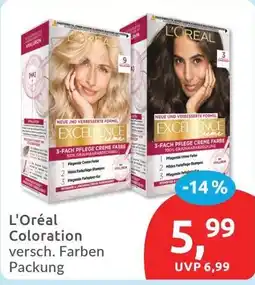 Budni L'Oréal Coloration Angebot