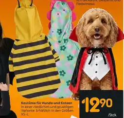 Rusta Kostüme für Hunde und Katzen Angebot