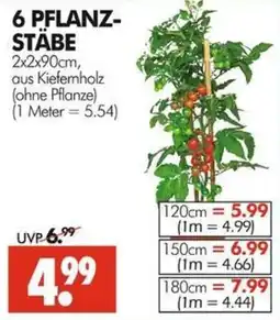 Wreesmann 6 PFLANZ-STÄBE Angebot