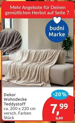 Budni Dekor Wohndecke Teddystoff Angebot